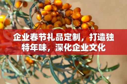 企业春节礼品定制，打造独特年味，深化企业文化