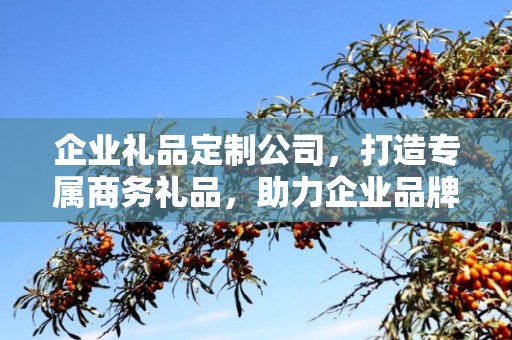 企业礼品定制公司，打造专属商务礼品，助力企业品牌发展