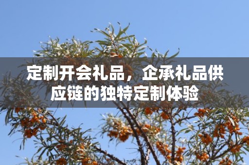 定制开会礼品，企承礼品供应链的独特定制体验